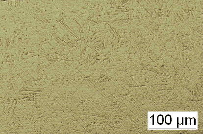 1.4021 - X20Cr13 - AISI 420 - SAE 420 - ASTM F899